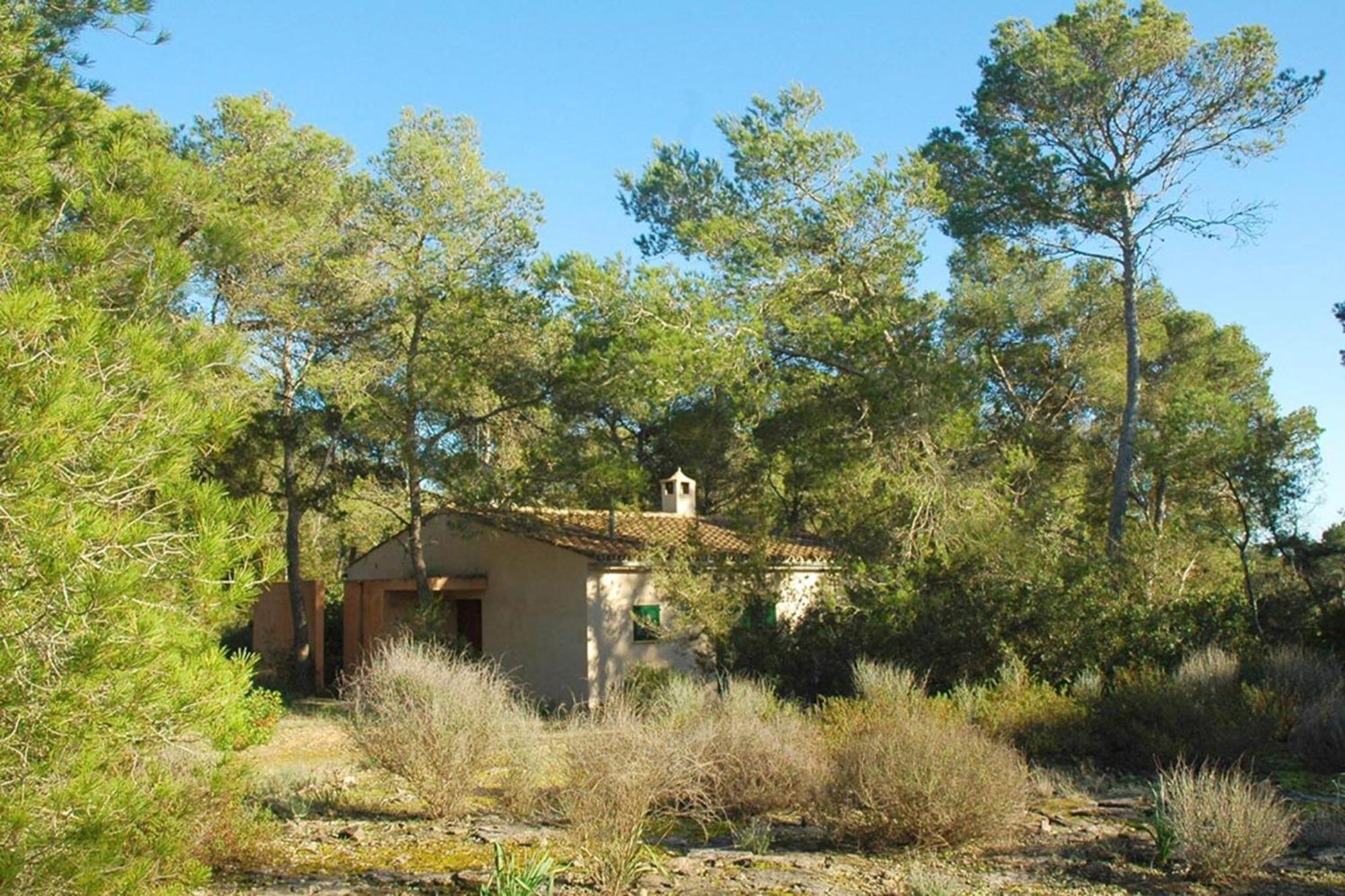 Bauernhof Ses Arenes Campos (Mallorca)