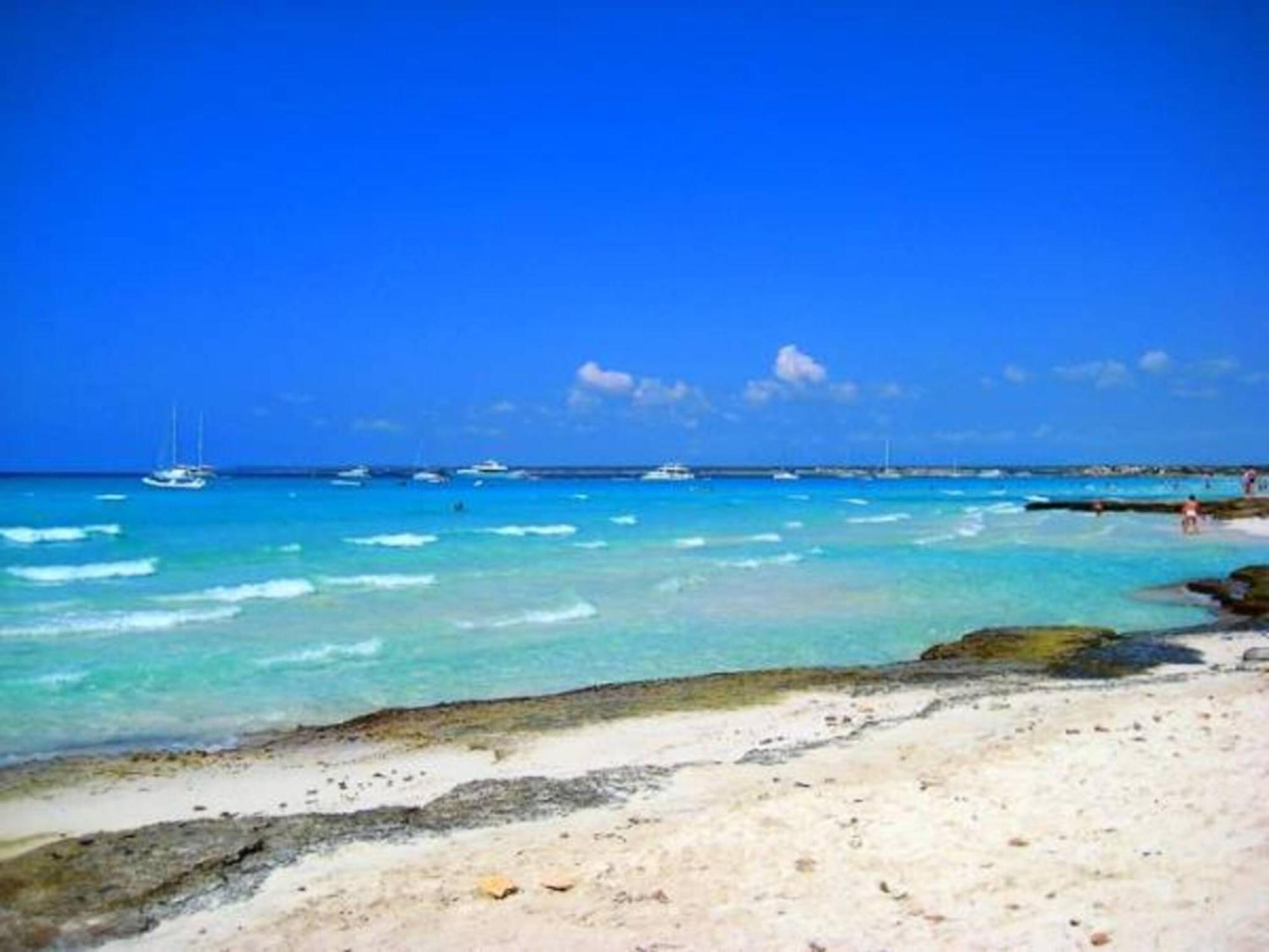Bauernhof Ses Arenes Campos (Mallorca)